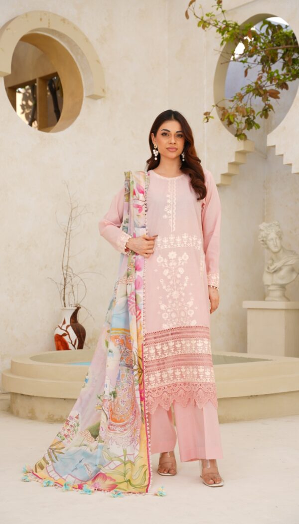 3 Piece Embroidered Lawn Suit Ready to Wear