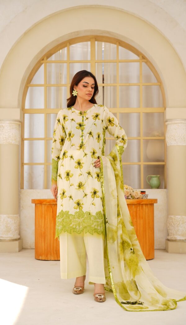 3 Piece Embroidered Lawn Suit Ready to Wear